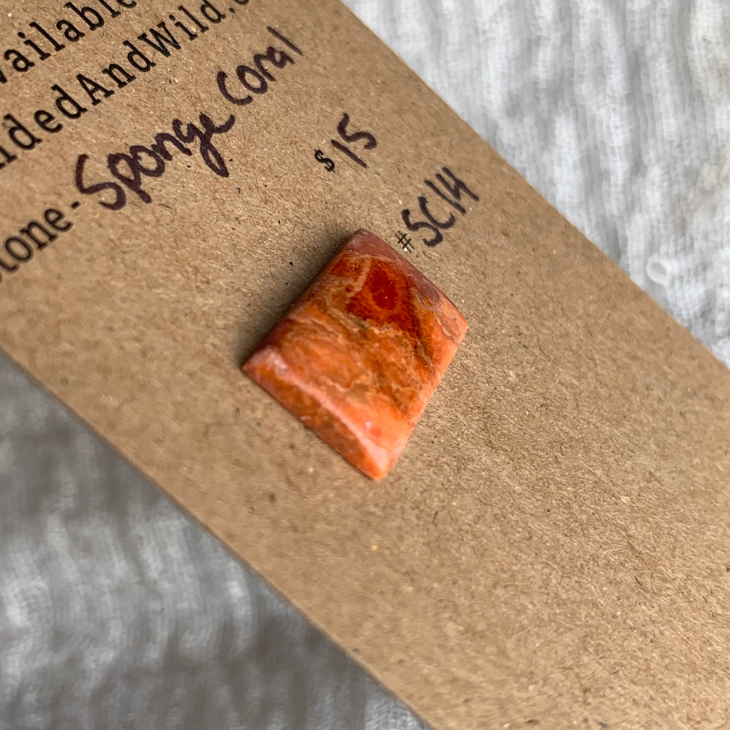 Sponge Coral Cabochon - SC14