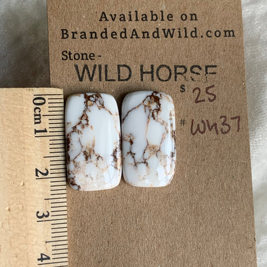 Wild Horse Cabochon - WH37