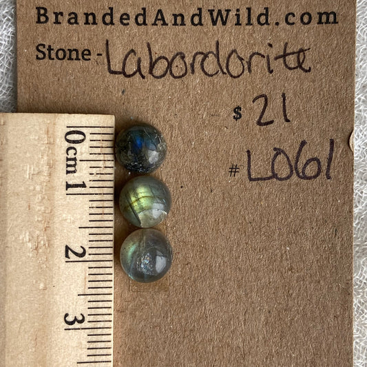 Labradorite Cabochon - L061