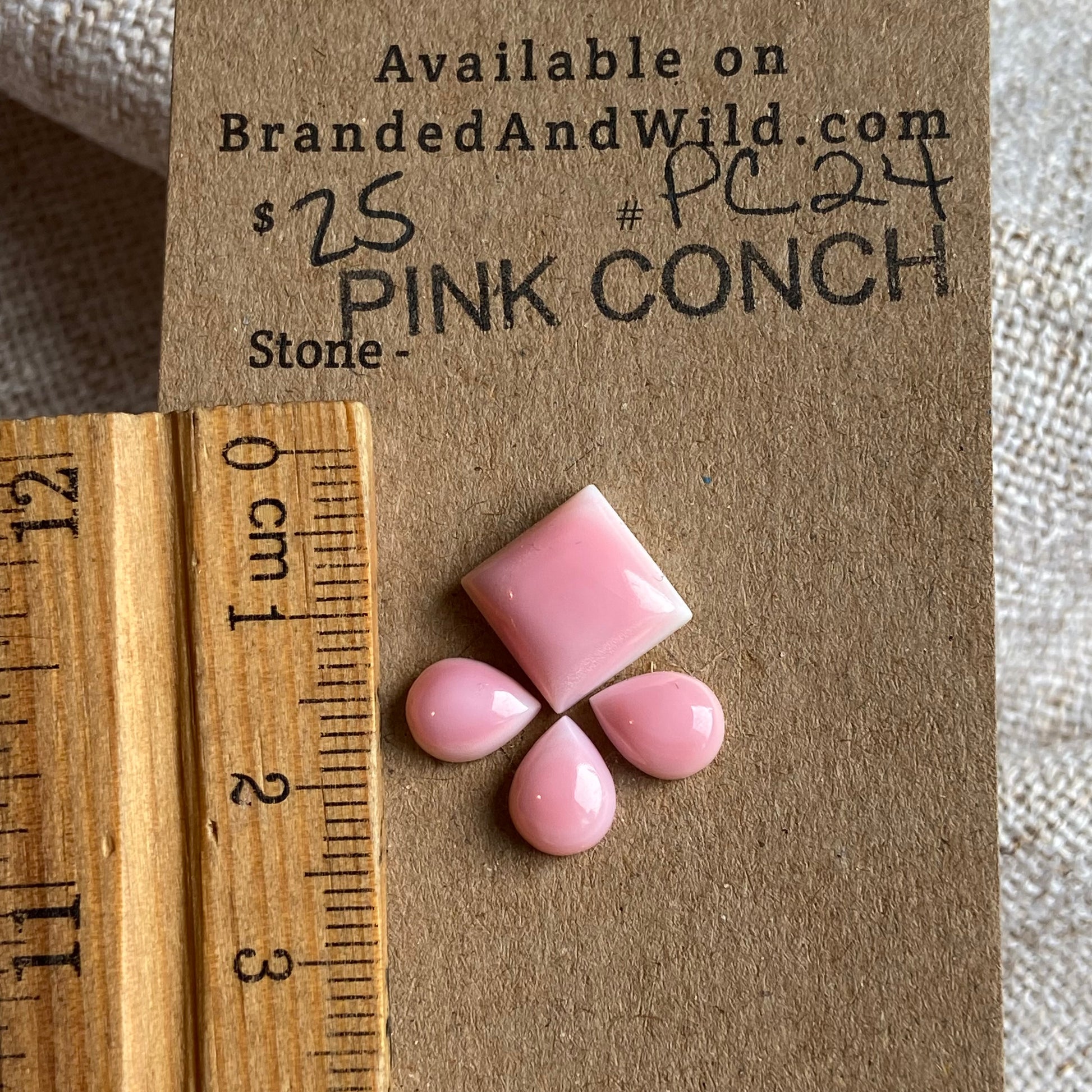 Pink Conch Cabochon - PC24 EBC419A7-CEDD-4662-9856-6F054910910D Brandedandwild.com