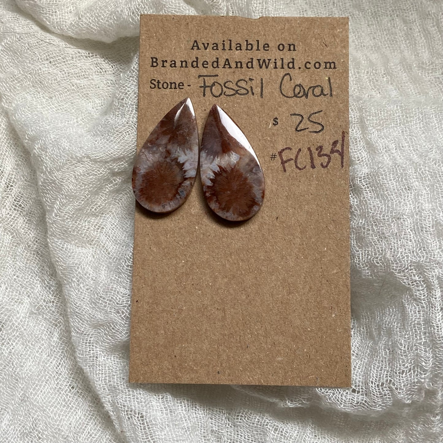 Fossil Coral Cabochon - FC134