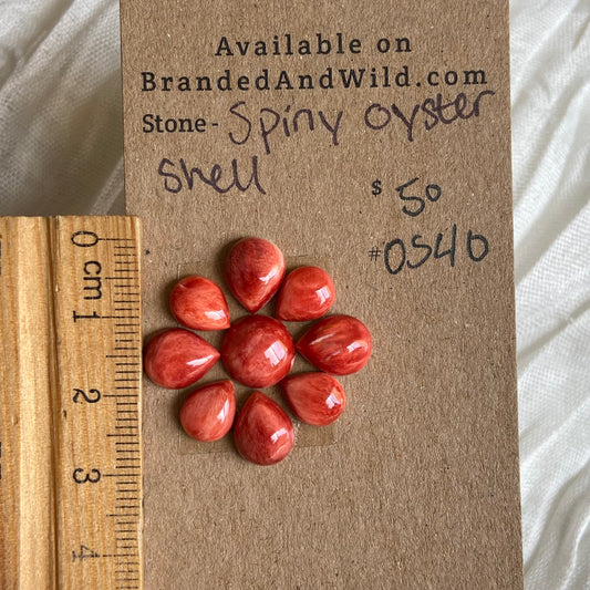 Oystershell Cabochon - OS40 EC0BE285-2595-4F01-B38E-795243A220B6 Brandedandwild.com
