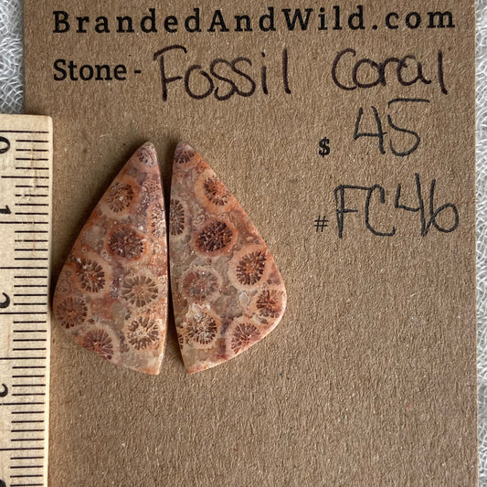 Fossil Coral Cabochon - FC46