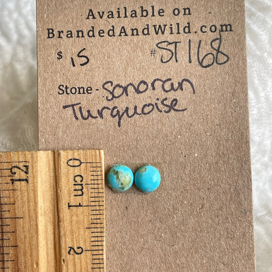 Sonoran Turquoise Cabochon - ST168 EC2D3981-03CC-47ED-B405-16B65F0A1D7D Brandedandwild.com