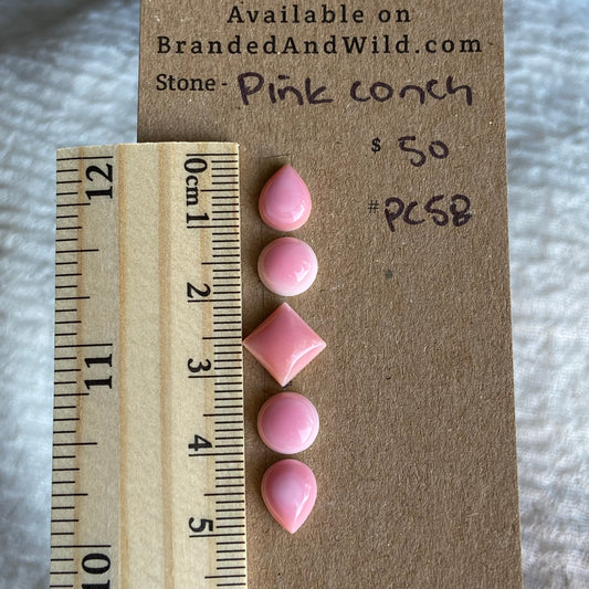 Pink Conch Cabochon - PC58