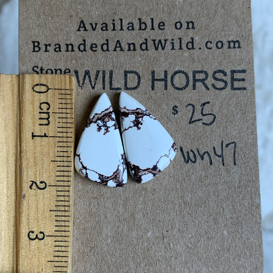 Wild Horse Cabochon - WH47
