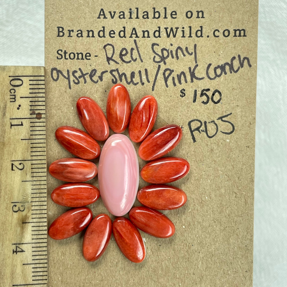 Pink Conch / Oyster Shell Cabochon - PO5 EC516559-F28A-4FD6-A990-ABD881765853 Brandedandwild.com