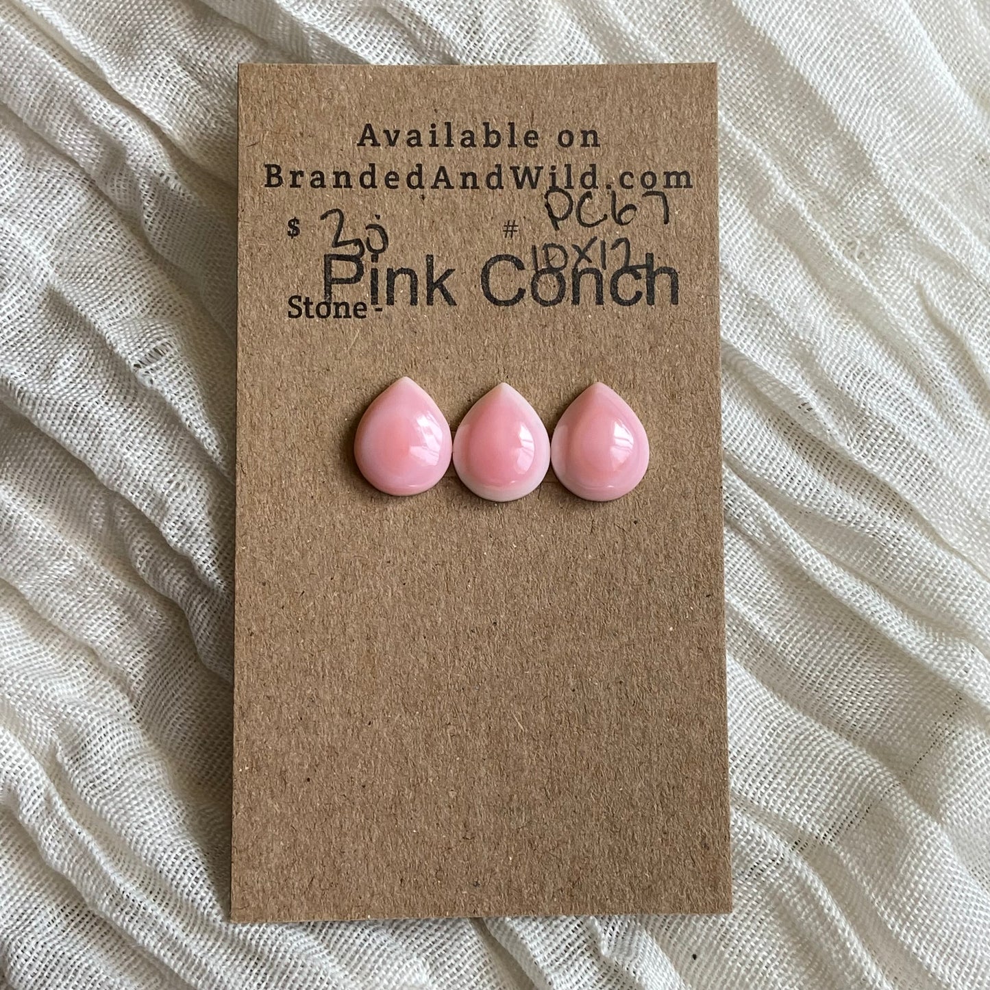Pink Conch Cabochon - PC67