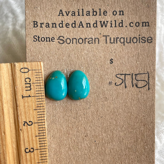 Sonoran Turquoise Cabochon - ST151 ECA744A9-DC24-4703-8784-81F1E15F4E01 Brandedandwild.com