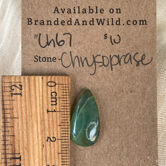 Chrysoprase Cabochon - Ch67 ECC09B18-718B-419A-996A-7B494C9D6B42 Brandedandwild.com