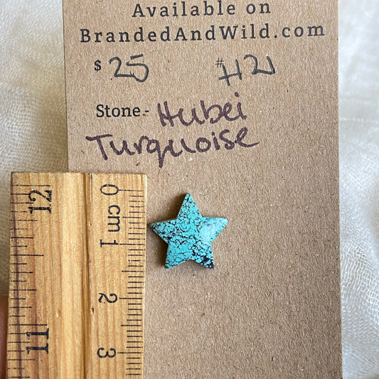 Hubei Turquoise Cabochon - H121 ECC1E0C6-C74B-457A-B230-719FA564911E Brandedandwild.com