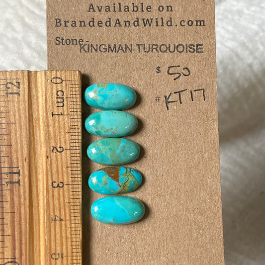 Kingman Turquoise Cabochon - KT17 ECC84134-1C2C-48B5-9A61-4ED6BADAEB80 Brandedandwild.com