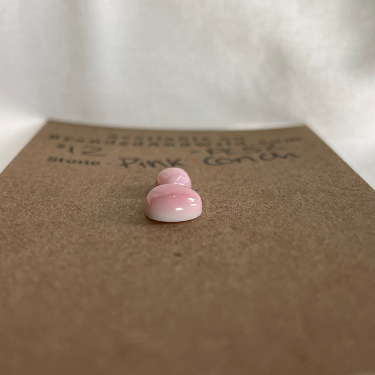 Pink Conch Cabochon - PC52 ECCACF7E-4F93-4CFD-B274-AAEA87405DD3 Brandedandwild.com