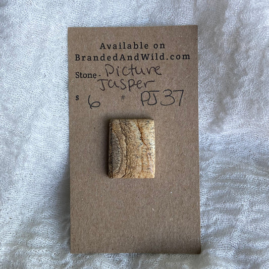 Picture Jasper Cabochon - PJ37