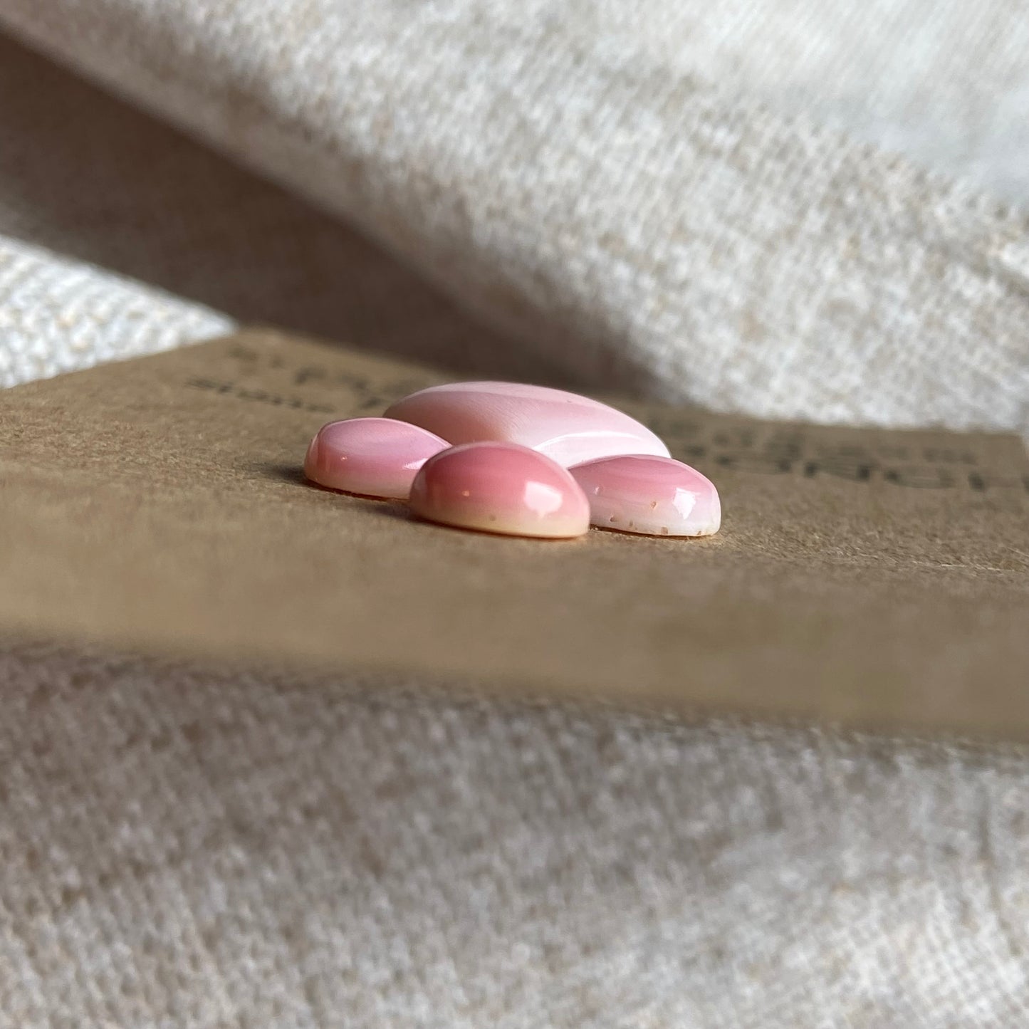 Pink Conch Cabochon - PC26 ED147CB8-01A8-4F33-B04A-6FBC256CF9F9 Brandedandwild.com