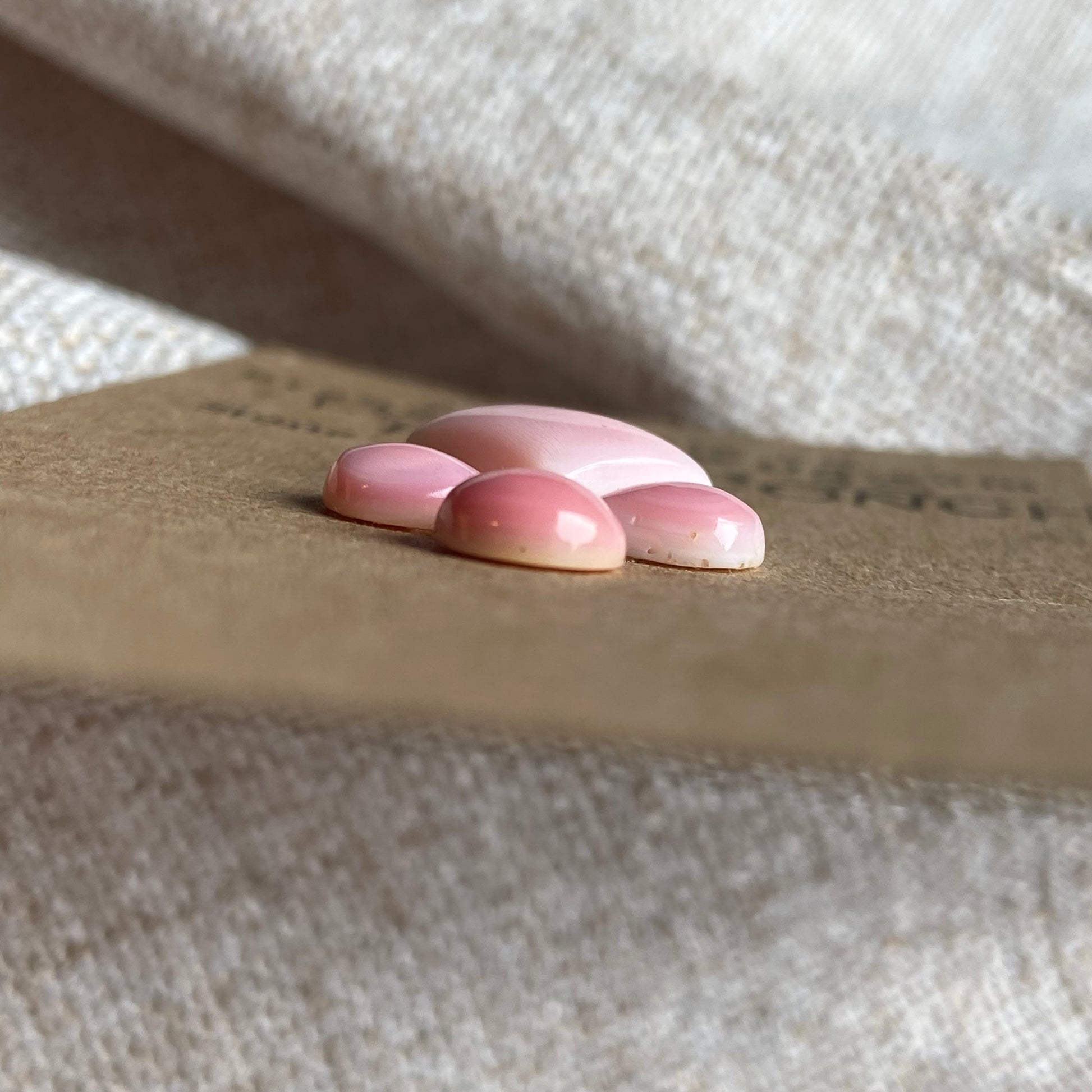 Pink Conch Cabochon - PC26 ED147CB8-01A8-4F33-B04A-6FBC256CF9F9 Brandedandwild.com