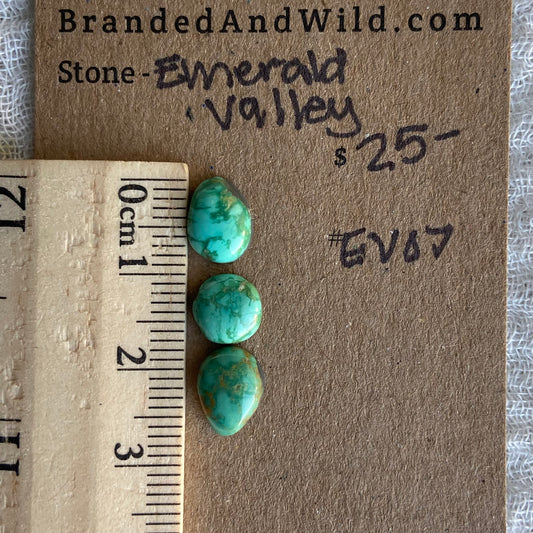 Emerald Valley Turquoise Cabochon - EV07