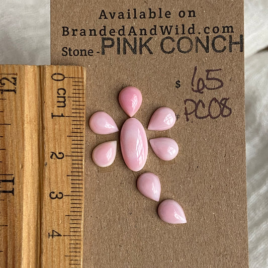 Pink Conch Cabochon - PC08