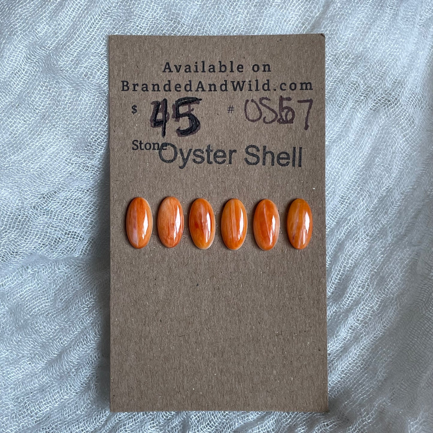 Oyster Shell Cabochon - OS57