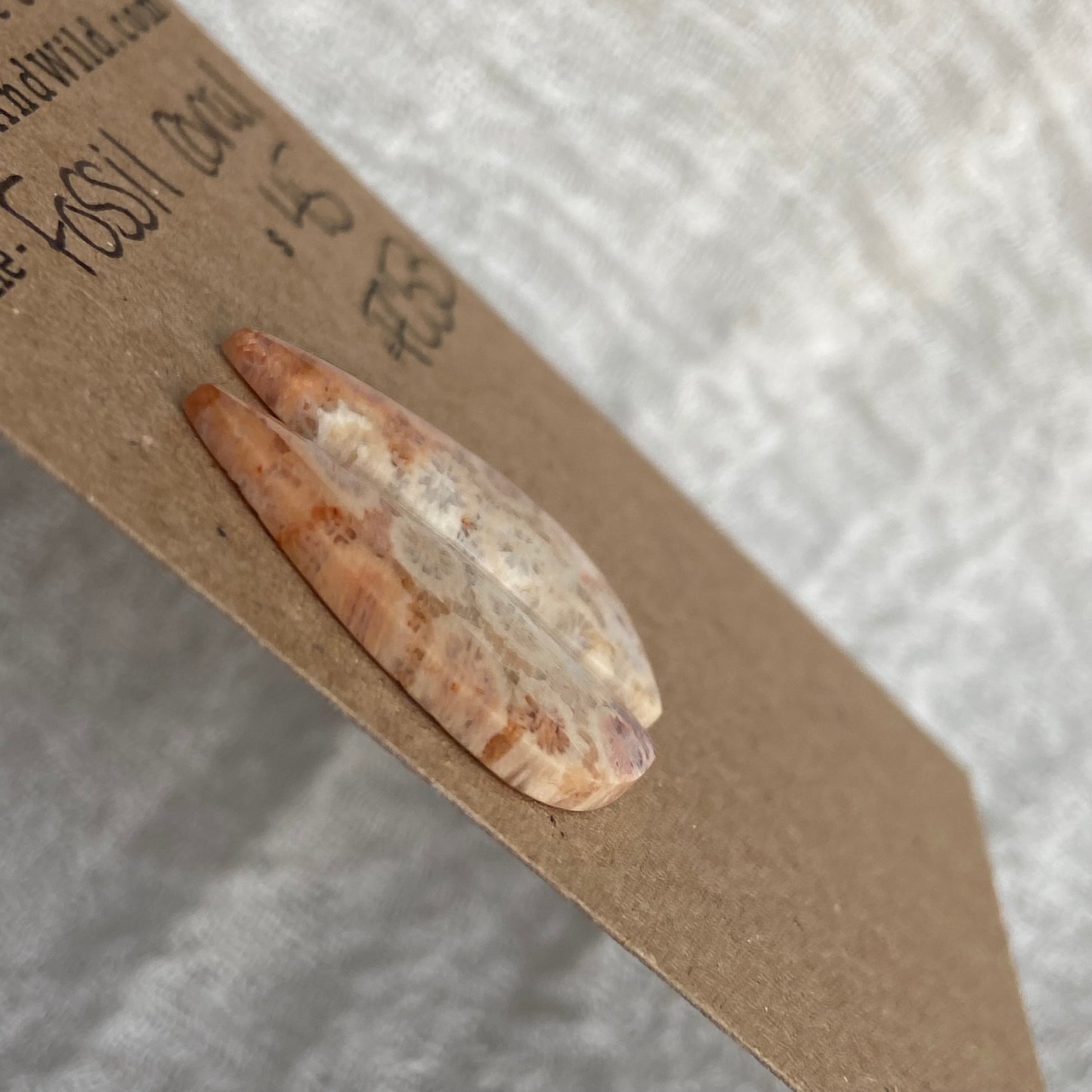 Fossil Coral Cabochon - FC53