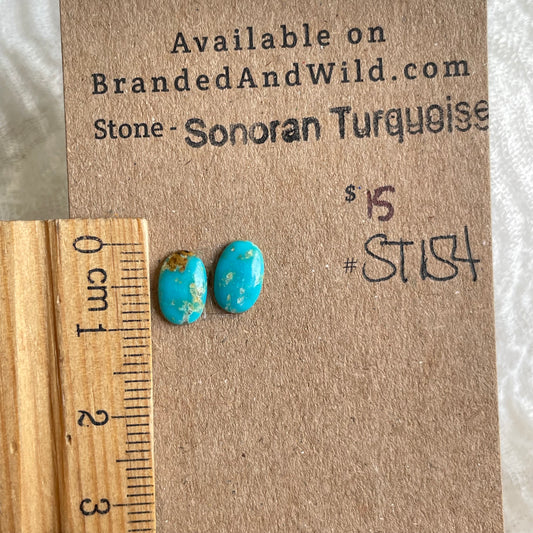 Sonoran Turquoise Cabochon - ST154 EDA72798-C0C2-4776-A78A-13EA56091D0A Brandedandwild.com