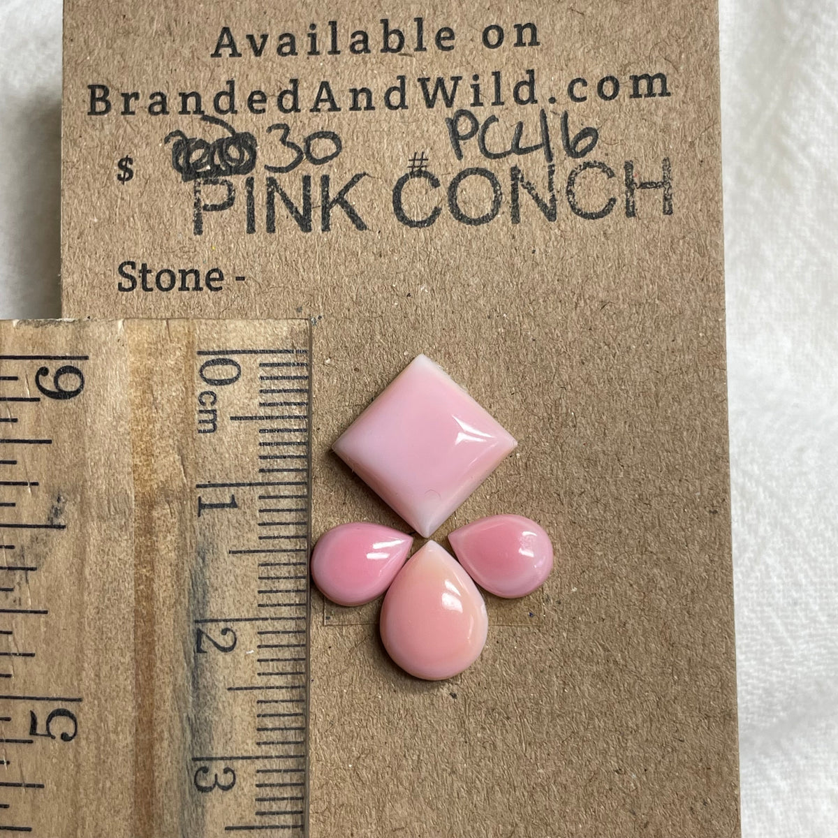 Pink Conch Cabochon - PC46 EDB673A7-A812-4749-B44C-10189414B1E0 Brandedandwild.com