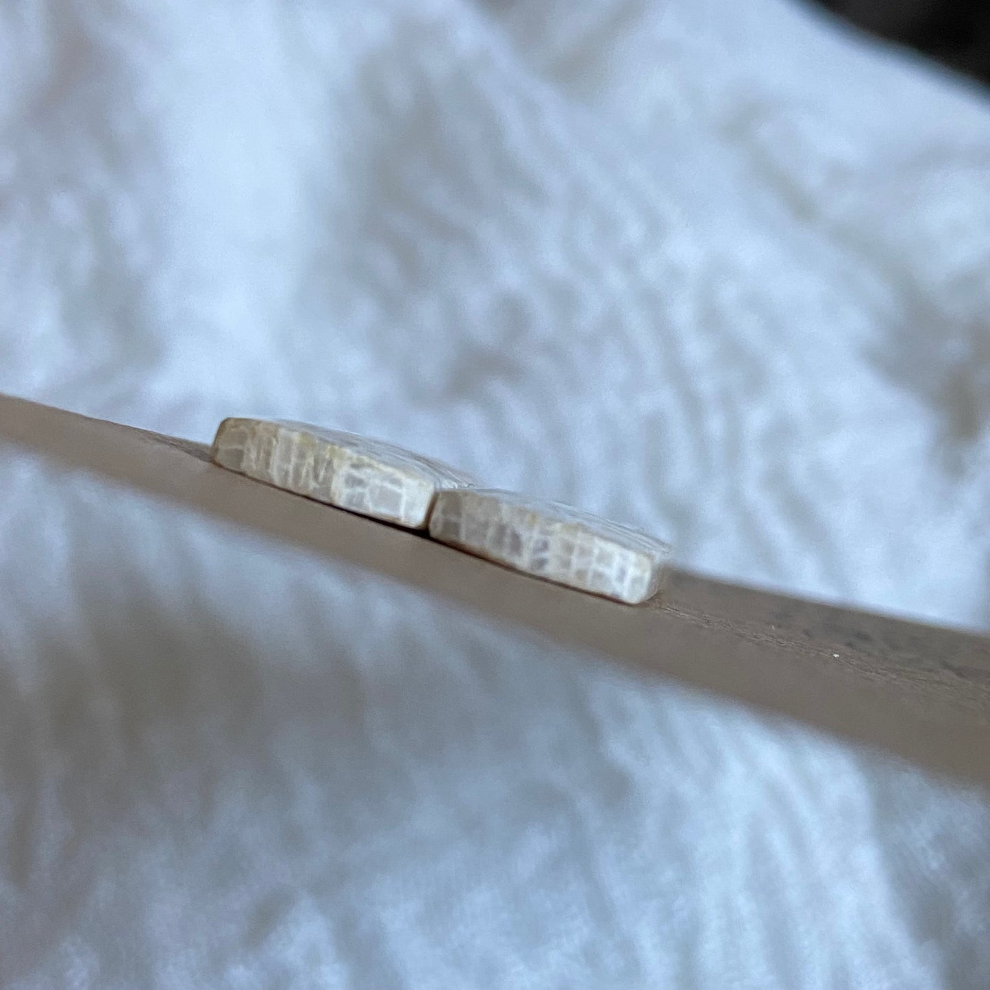 Fossil Coral Cabochon - FC48