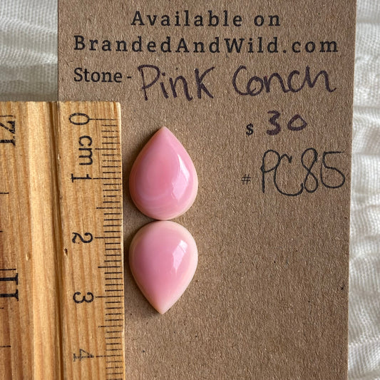 Pink Conch Cabochon - PC85 EDF29381-5B63-4CE2-B20E-677011EEA33B Brandedandwild.com