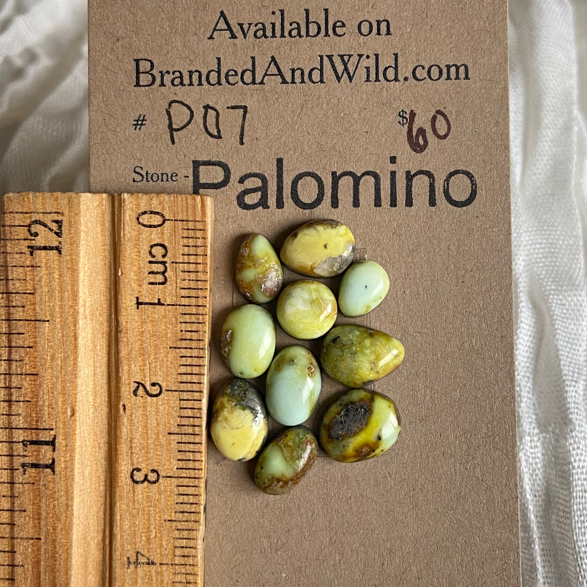 Palomino Cabochon - P07 EE0C0135-ECC3-472D-8EC6-5C388868162B Brandedandwild.com
