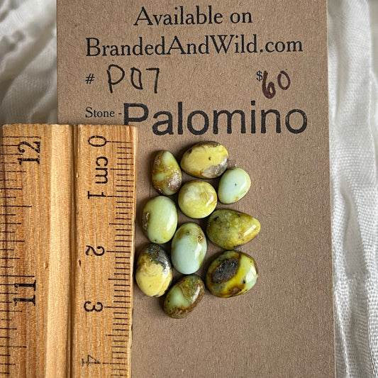 Palomino Cabochon - P07 EE0C0135-ECC3-472D-8EC6-5C388868162B Brandedandwild.com