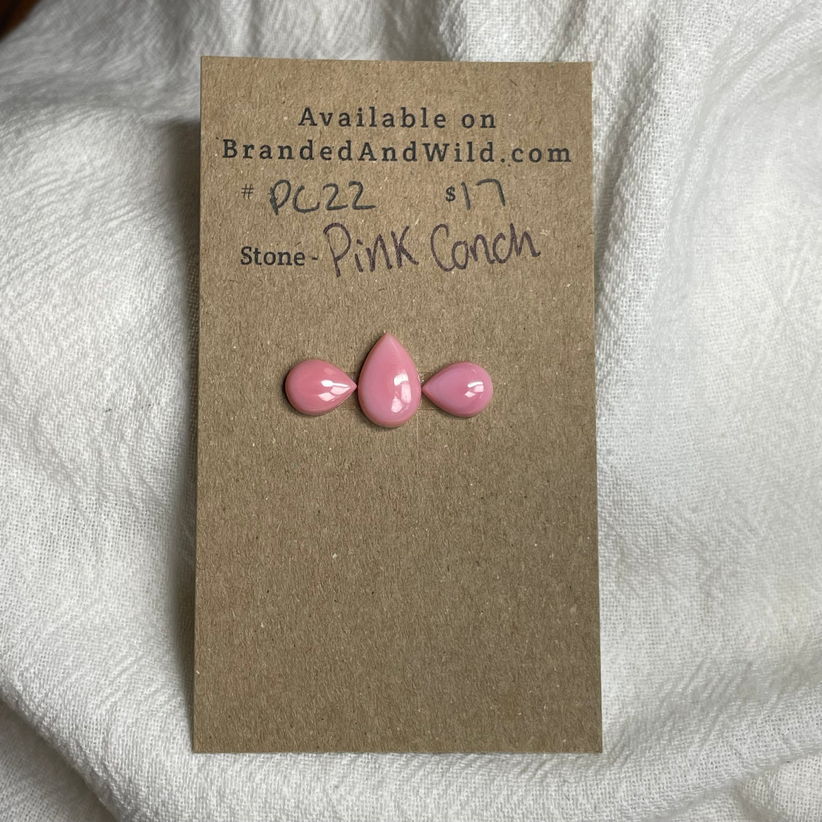 Pink Conch Cabochon - PC22 EE4341B8-DC40-4BE8-BCE2-678F68C54157 Brandedandwild.com
