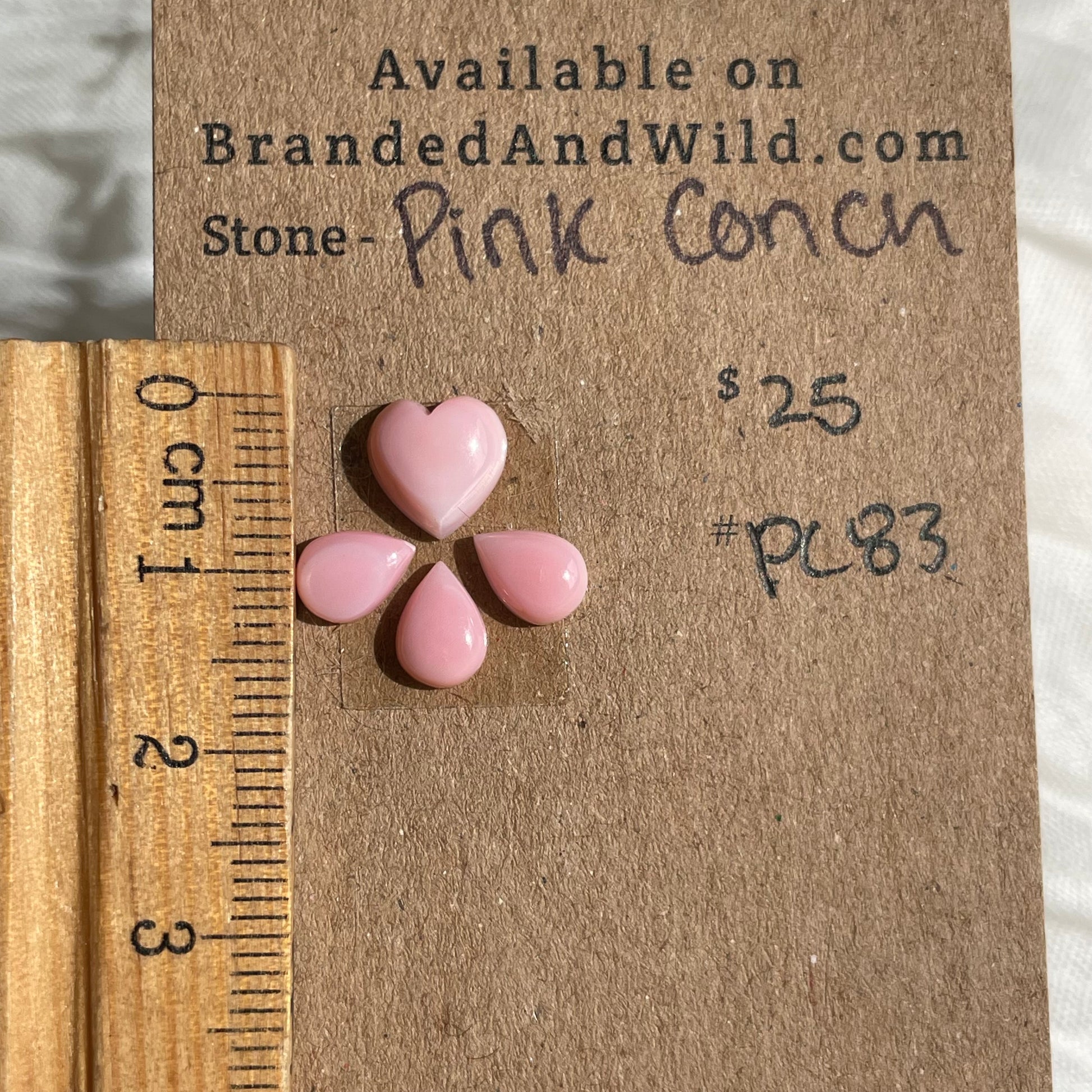 Pink Conch Cabochon - PC83 EE4C8582-7095-488E-B7DC-FBB0309B44A7 Brandedandwild.com