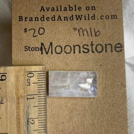 Moonstone Cabochon - MS16 EE89430B-27A4-429B-87F2-7A0184685722 Brandedandwild.com