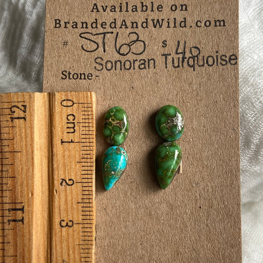 Sonoran Turquoise Cabochon - ST63 EE8FC1E5-E8F6-4E4B-BD36-51C1DAF6B3F8 Brandedandwild.com