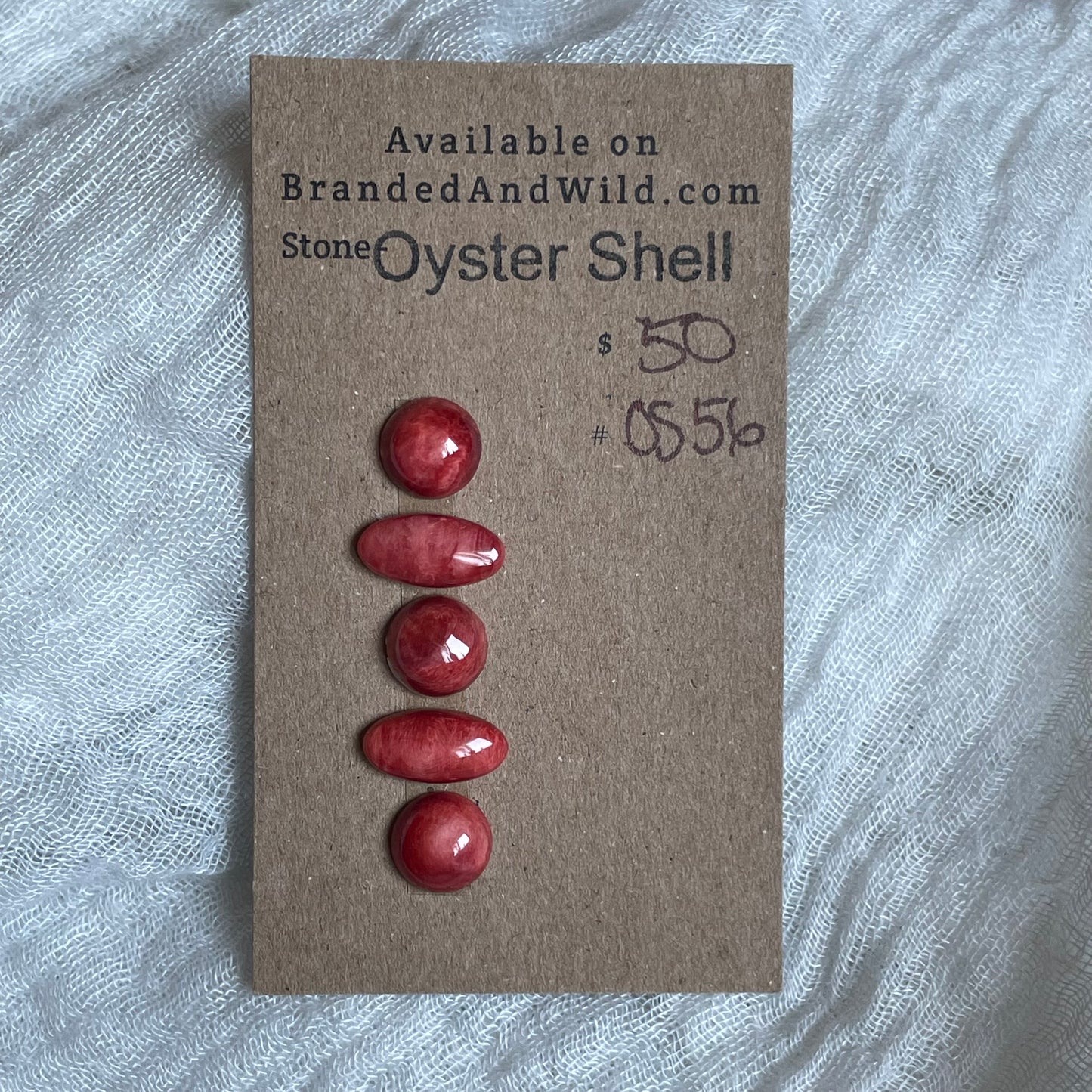 Oyster Shell Cabochon - OS56
