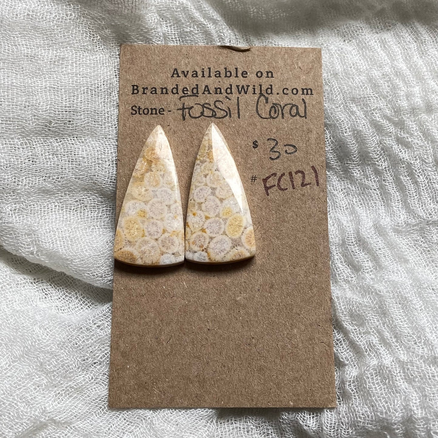 Fossil Coral Cabochon - FC121