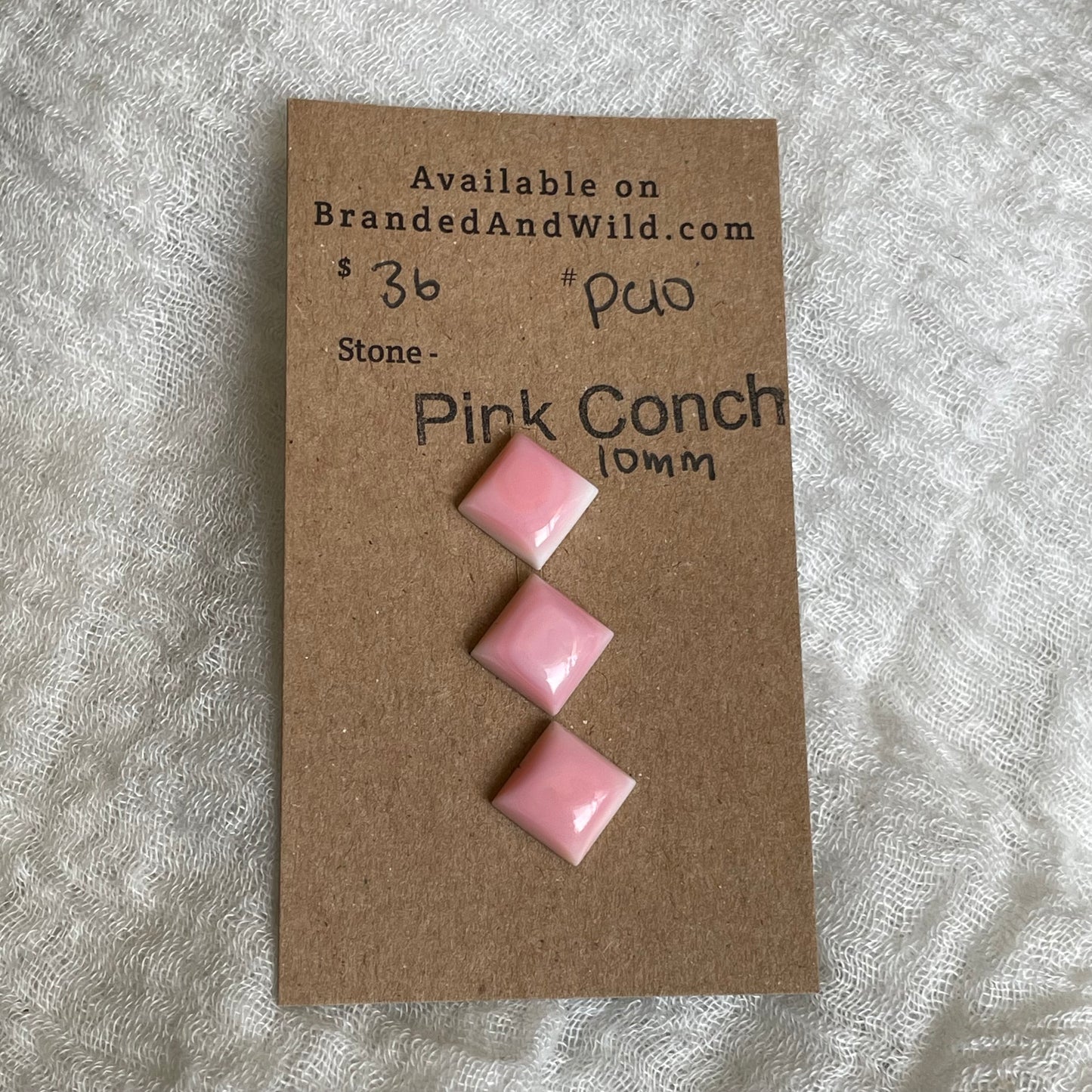Pink Conch Cabochon - PC10