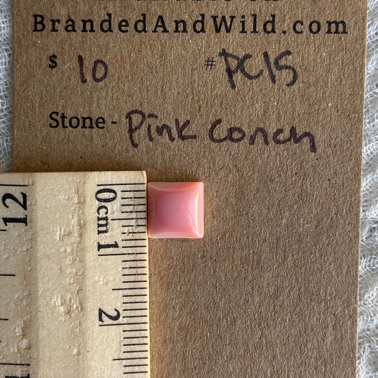 Pink Conch Cabochon - PC15