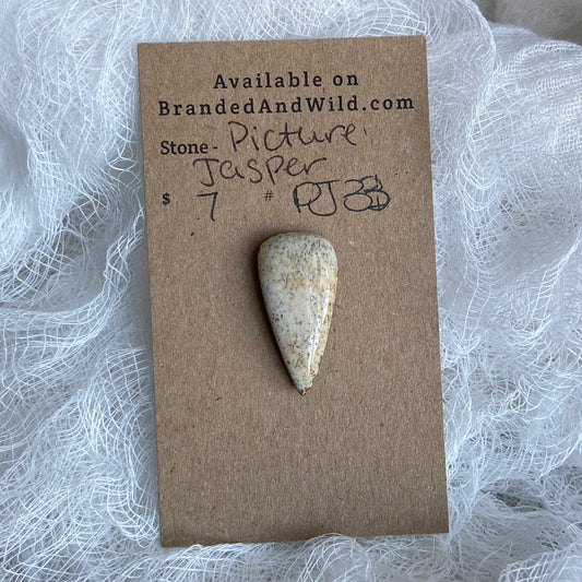 Picture Jasper Cabochon - PJ33