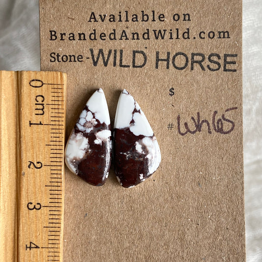Wild Horse Cabochon - WH65