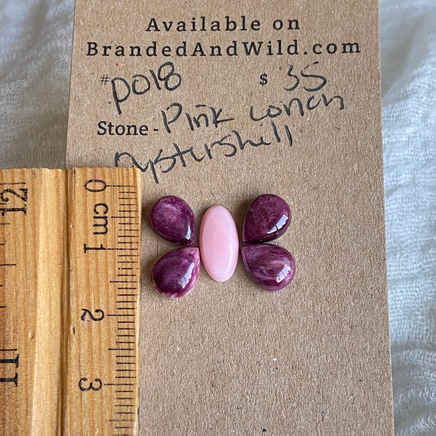 Pink Conch / Oyster Shell Cabochon - P018