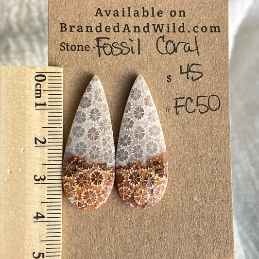 Fossil Coral Cabochon - FC50