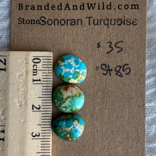 Sonoran Turquoise Cabochon - ST85