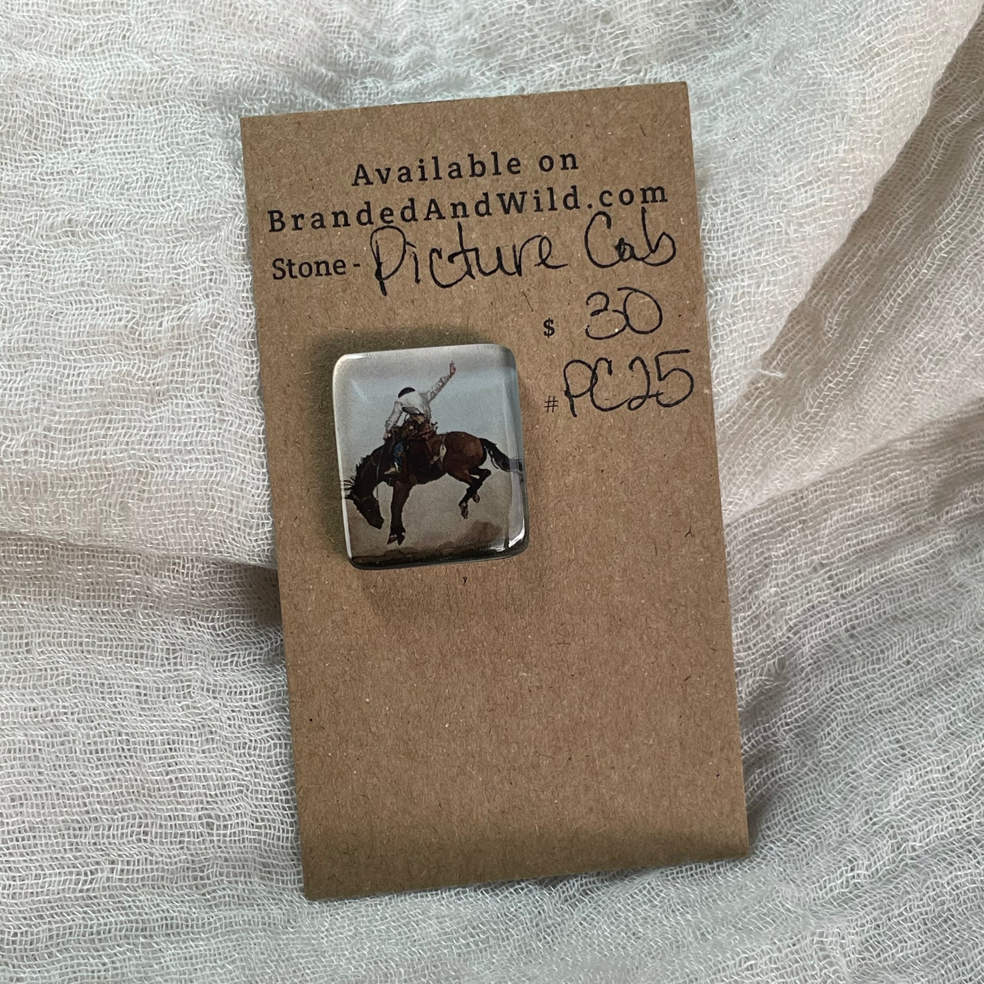 Picture Cabochon - Cabochon - PC25 EF3739FB-02C1-413E-A028-B66CD4C9FB7E Brandedandwild.com