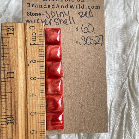 Spiny Oyster Shell Cabochon - SOS27 EF3BC6C5-EB11-4DE8-9623-7AD34E729FA3 Brandedandwild.com