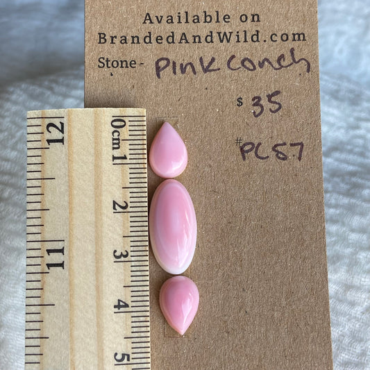 Pink Conch Cabochon - PC57