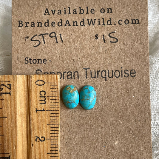 Sonoran Turquoise Cabochon - ST91 EF8EF6E1-6C62-4146-A0C5-C3DC334901CA Brandedandwild.com