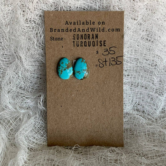 Sonoran Turquoise Cabochon - ST135