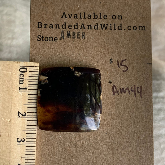 Amber Cabochon AM44