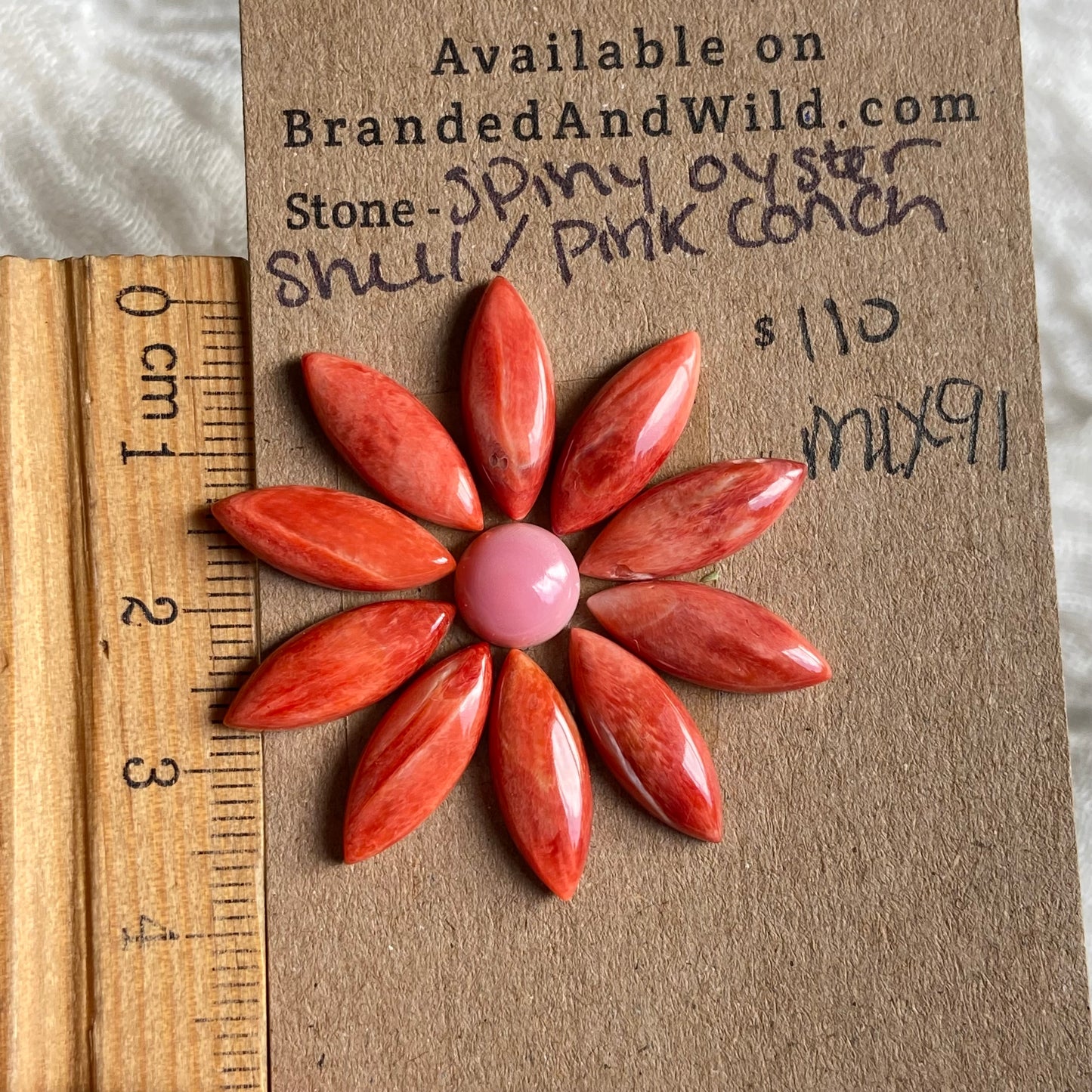 Oyster Shell / Pink Conch Cabochon - Mix191 F004CACA-A7BC-45B7-8B0A-8B53866BA3F7 Brandedandwild.com